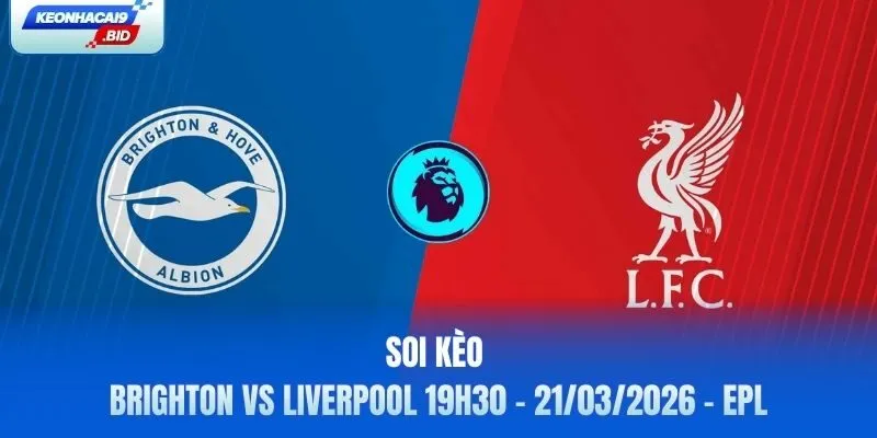 Soi kèo Brighton vs Liverpool