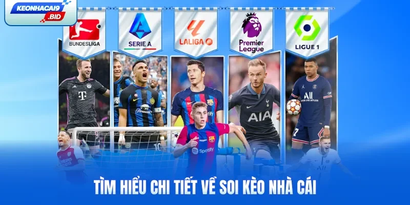 Tìm hiểu chi tiết về soi kèo nhà cái