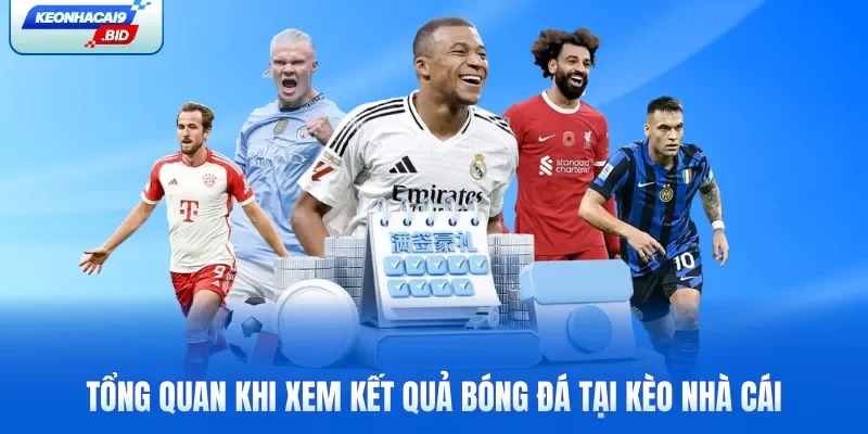 Tổng quan khi xem kết quả bóng đá tại Kèo Nhà Cái